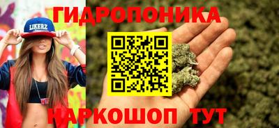 ГАЛЛЮЦИНОГЕННЫЕ ГРИБЫ Беслан