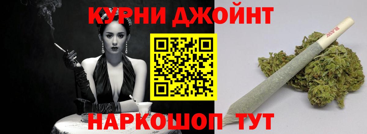 МАРИХУАНА сатива Калининград